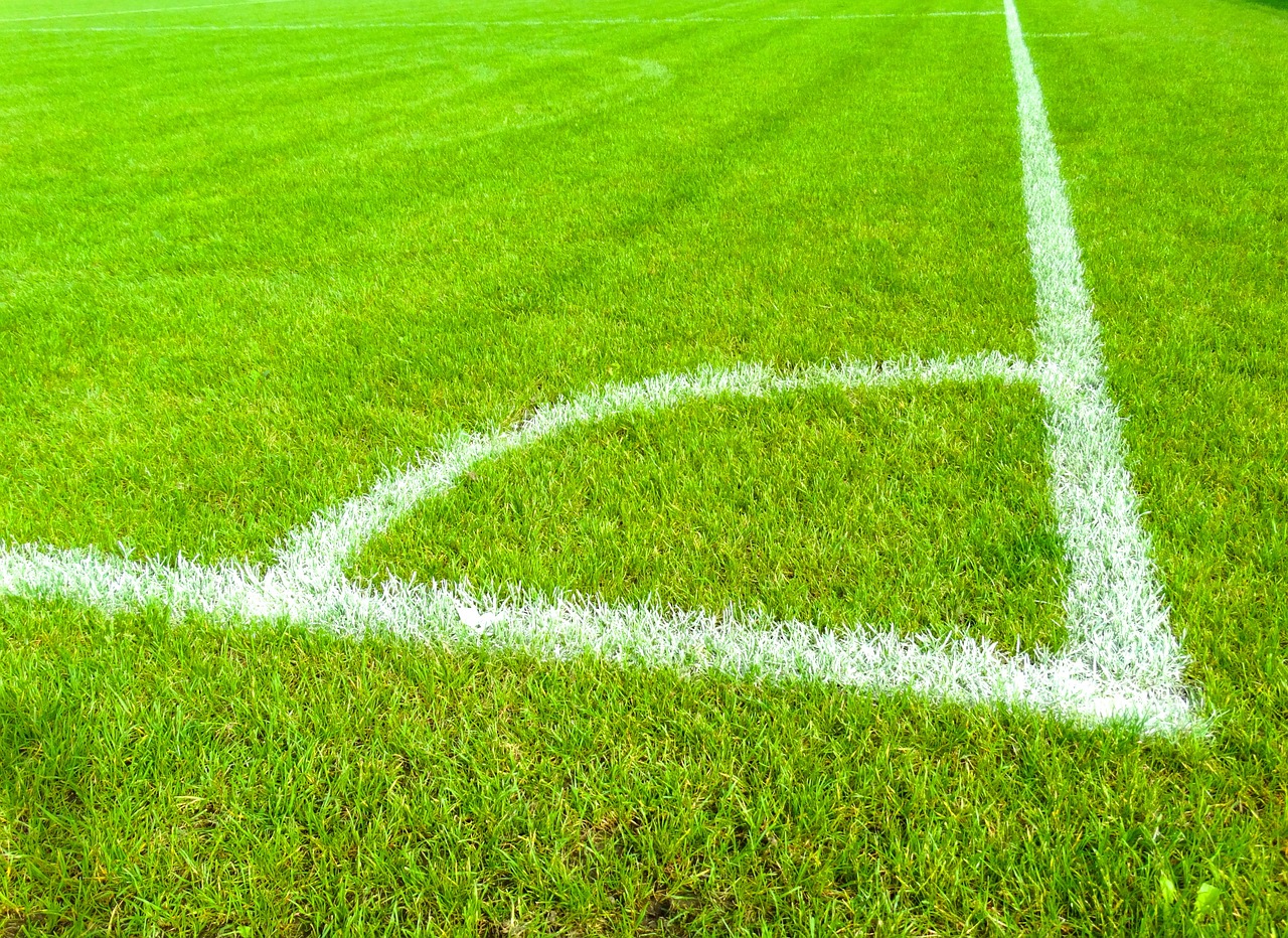 李冰冰三刷新疆滑雪场，明星效应如何引爆冰雪经济？